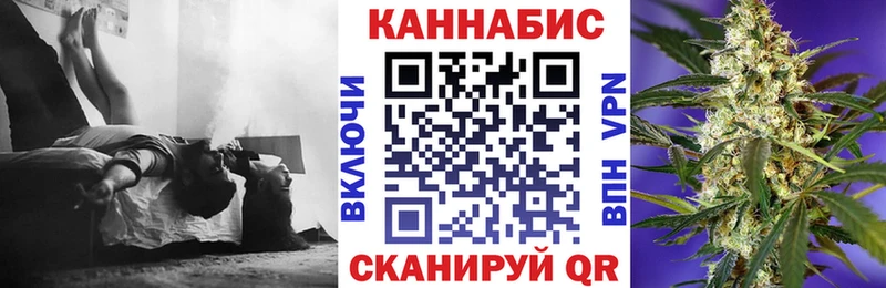 Конопля гибрид Бутурлиновка